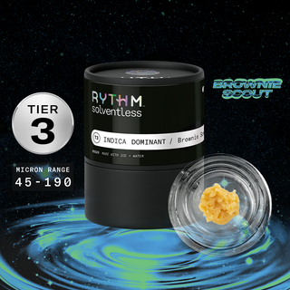 Brownie Scout RYTHM