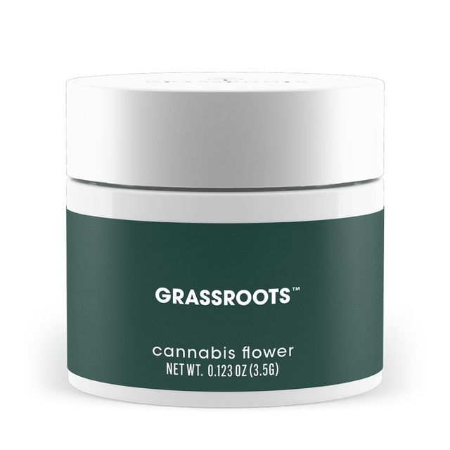Permanent Marker Grassroots