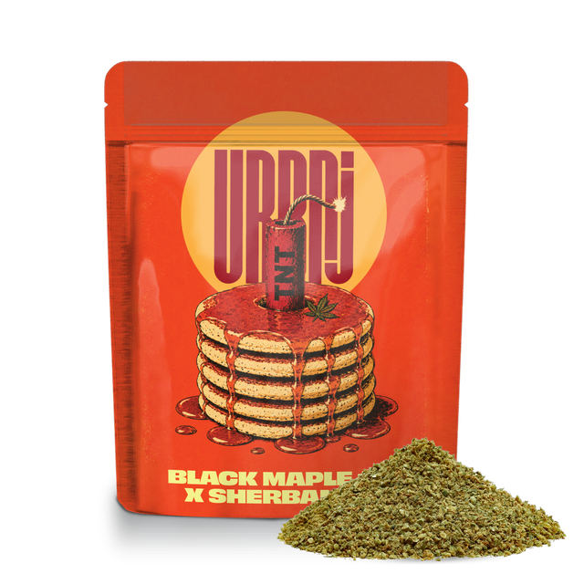 Black Maple #22 x Sherbanger URBNJ