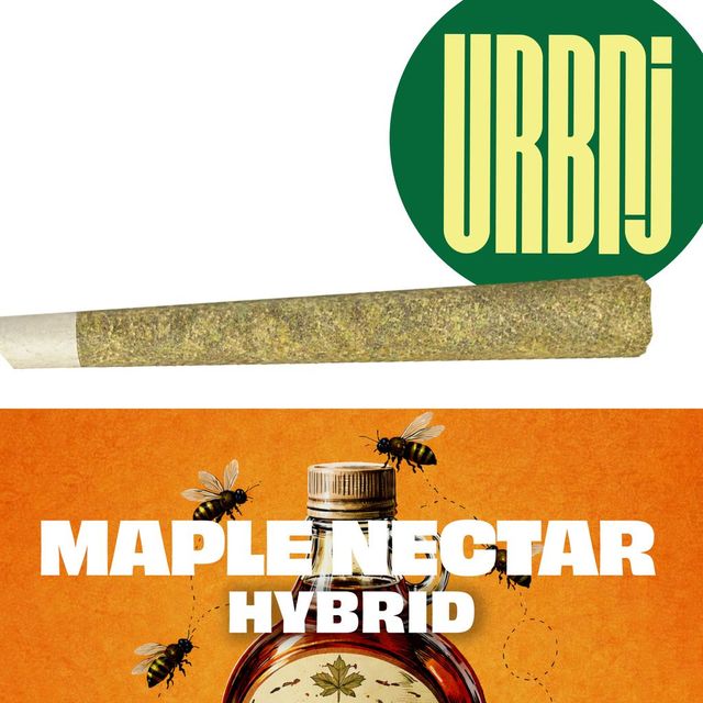 Maple Nectar URBNJ
