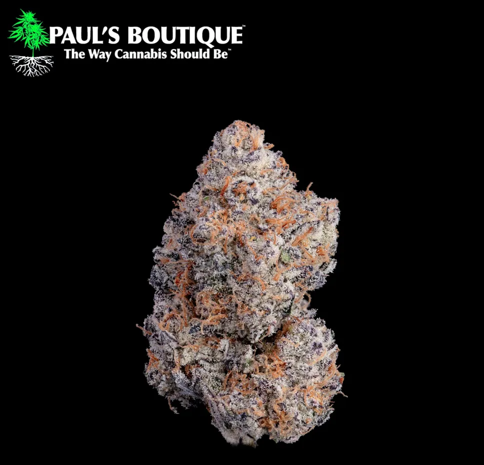 Garlic Icing Paul's Boutique