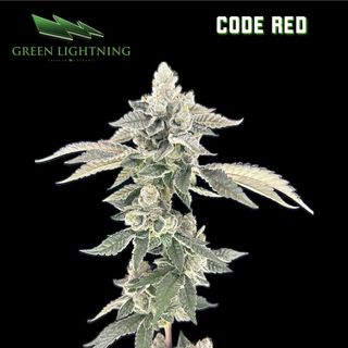 Cannabis Promo, Cannabis Sales, Cannabis Discounts, Cannabis on Sale, $45 Green Lightning 7g Flower! 2