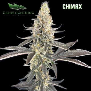 Chimax Green Lightning