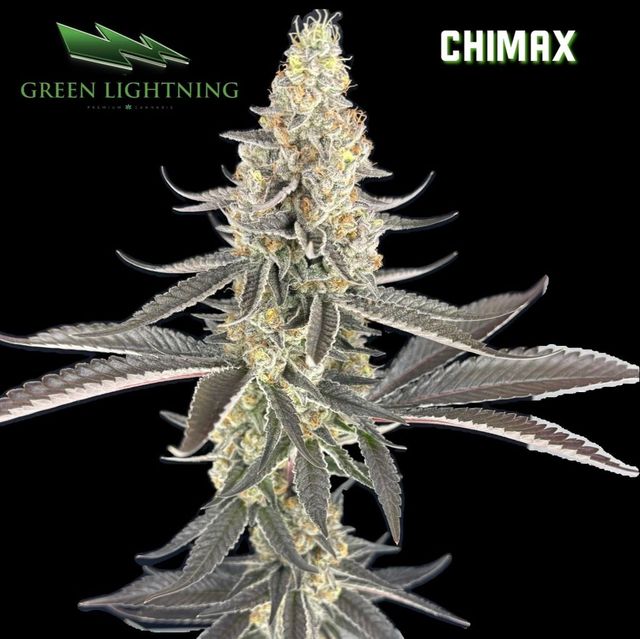 Chimax Green Lightning
