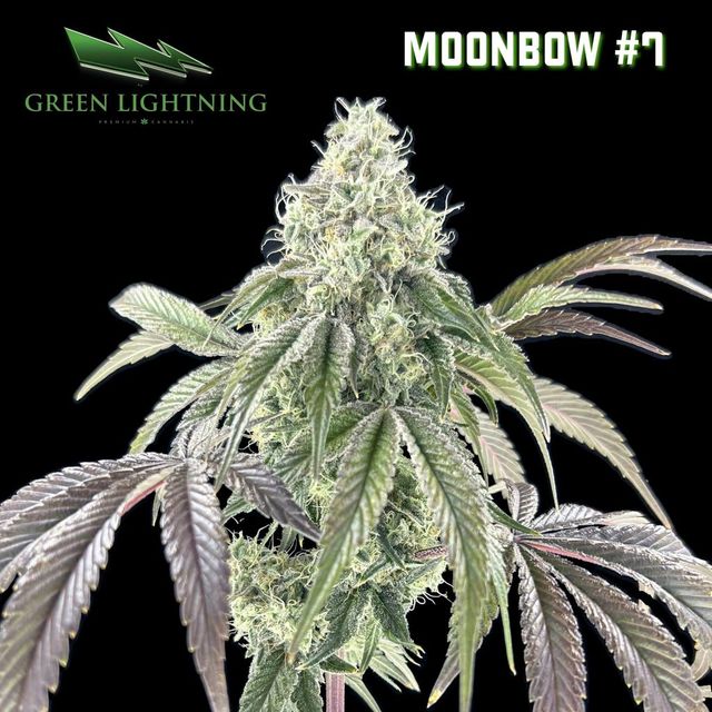 Moonbow #7 Green Lightning