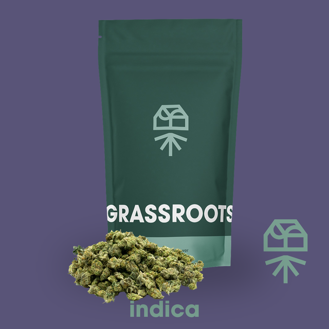 Mad Rabbid #5 Grassroots