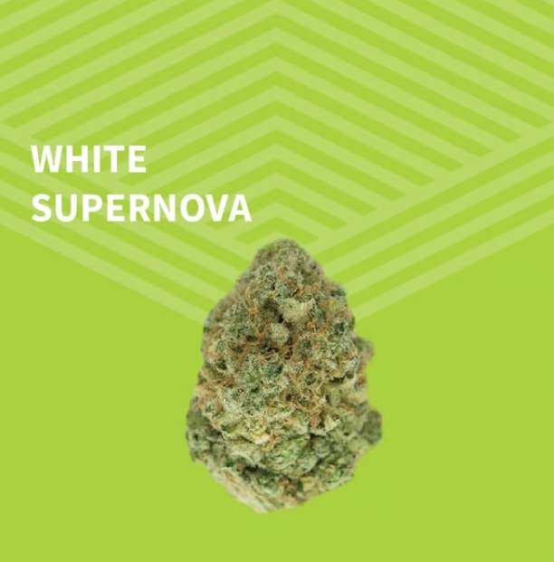 White Supernova  Pure Dakota