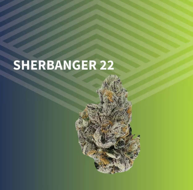 Sherbanger 22 Pure Dakota