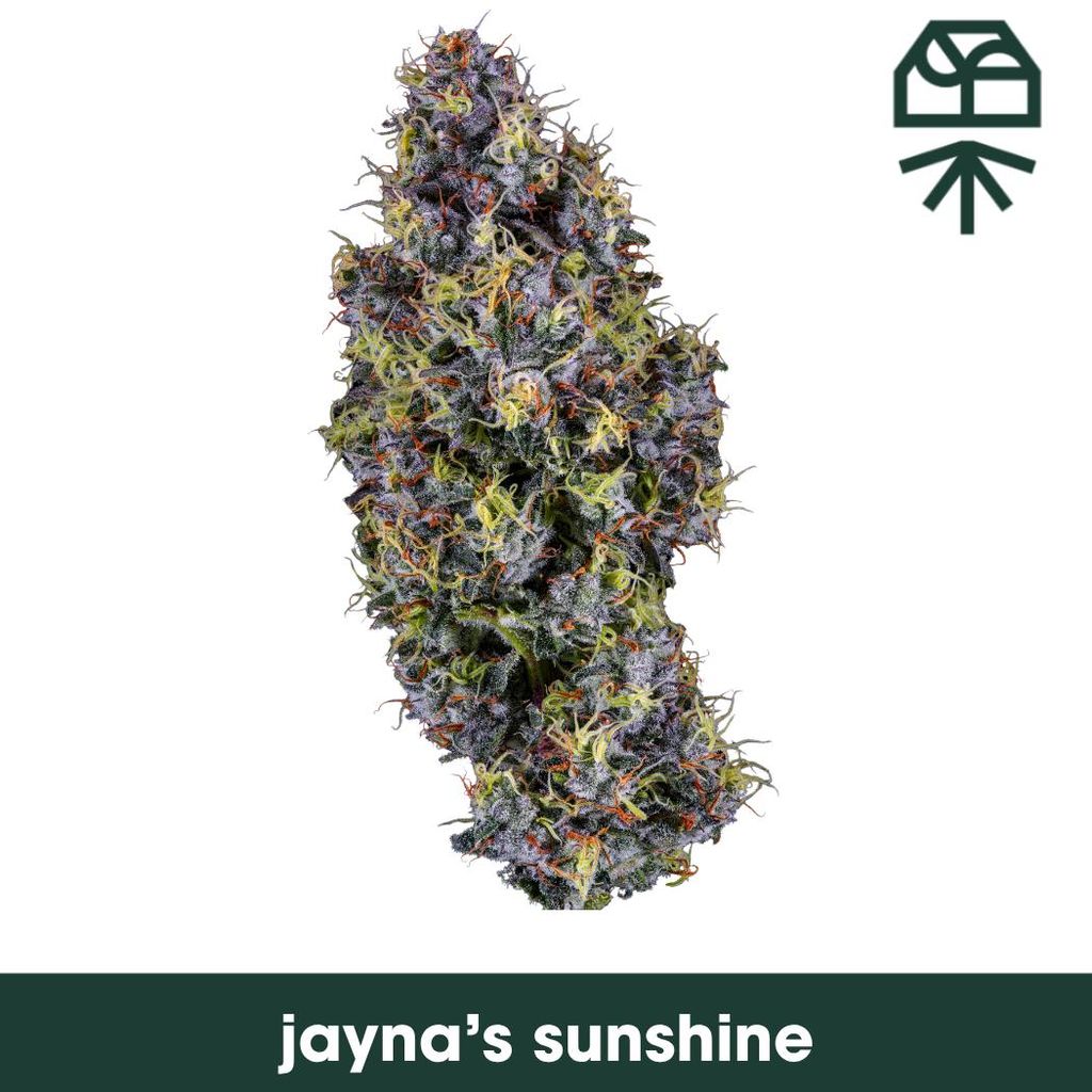 Jaynas Sunshine