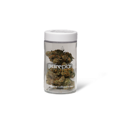 Black Cherry Punch Pure Plan Black Cherry Punch Pure Plan