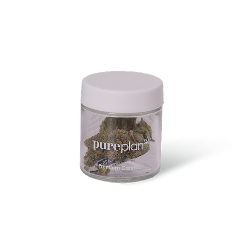 Black Cherry Punch Pure Plan