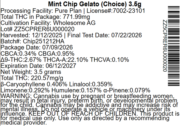 Mint Chip Gelato Pure Plan Mint Chip Gelato Pure Plan