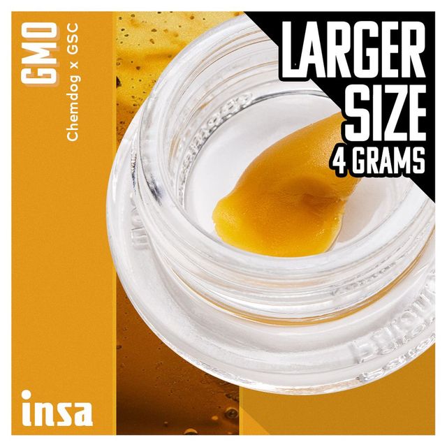 GMO INSA