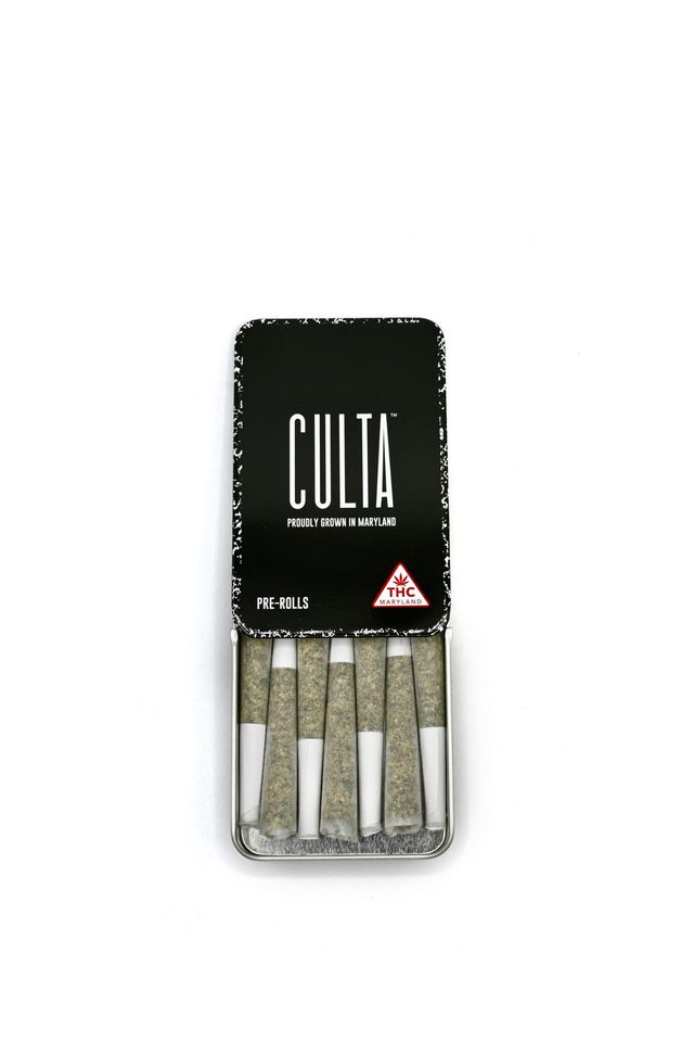Amnesia OG Culta