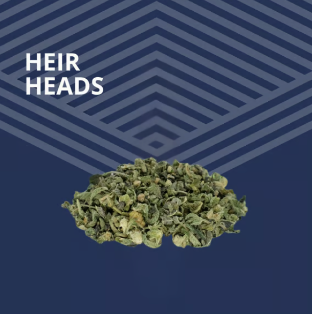 Heir Heads Pure Dakota