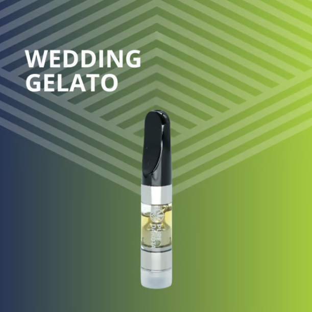 Wedding Gelato Pure Dakota