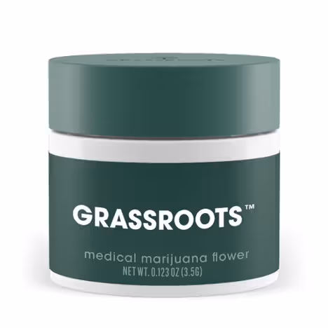 Ocifer 3 (Pawpaw) Grassroots