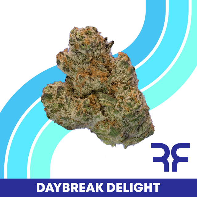 Daybreak Delight Reef