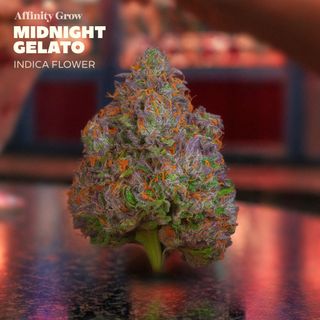 Midnight Gelato Affinity Grow