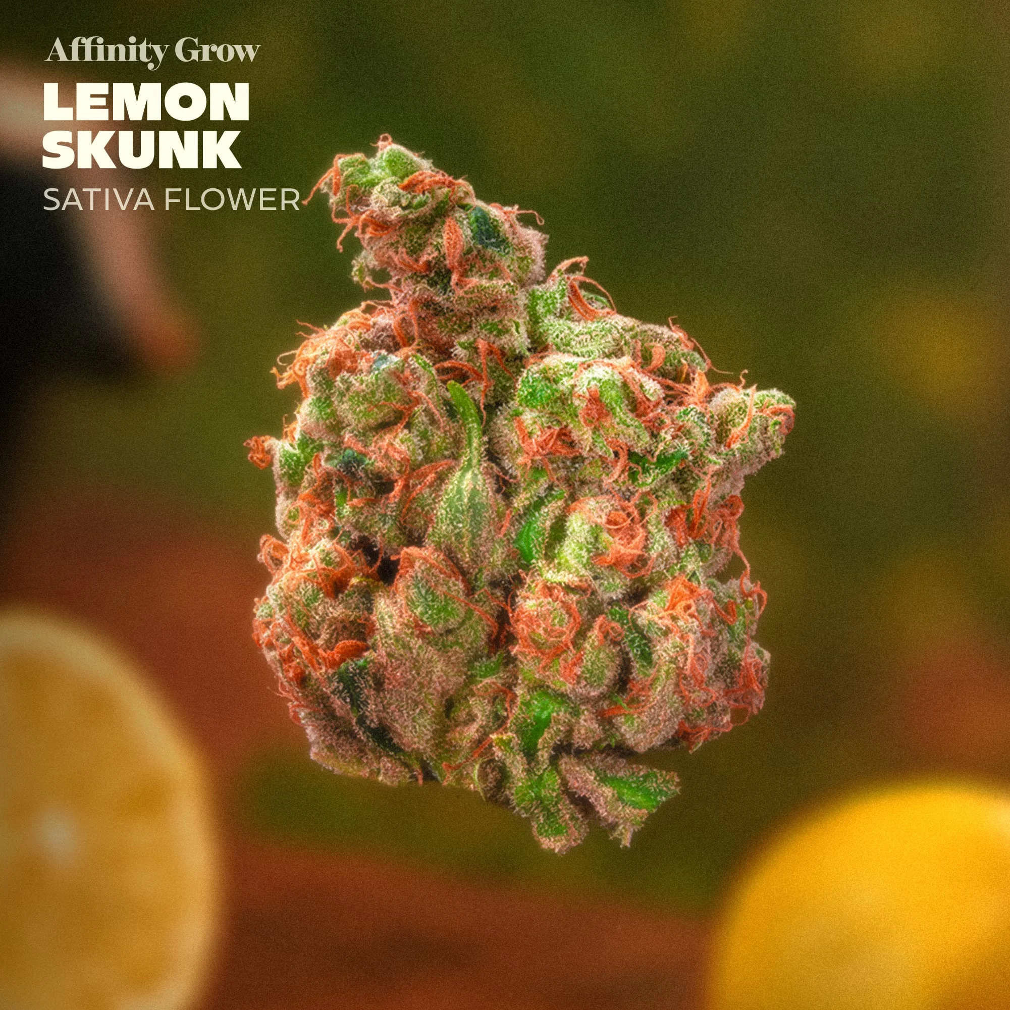 Lemon Skunk Affinity Grow