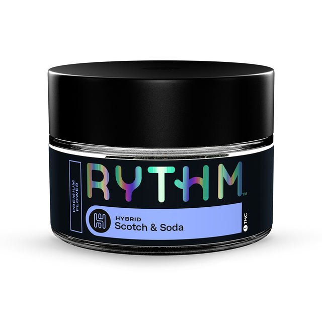 Scotch & Soda Rythm