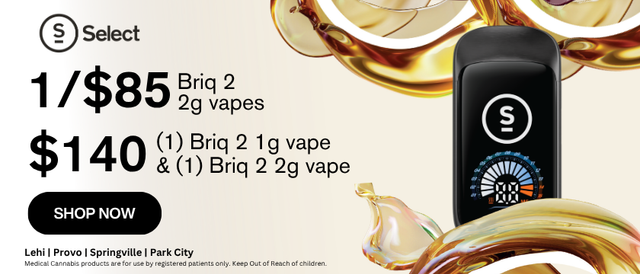 Cannabis Promo, Cannabis Sales, Descuentos en cannabis, Cannabis on Sale, ¡SOLO $85 SELECT BRIQ 2 Vaporizadores All-In-One de 2g!