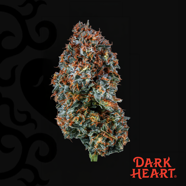 Razzle Dazzle Dark Heart