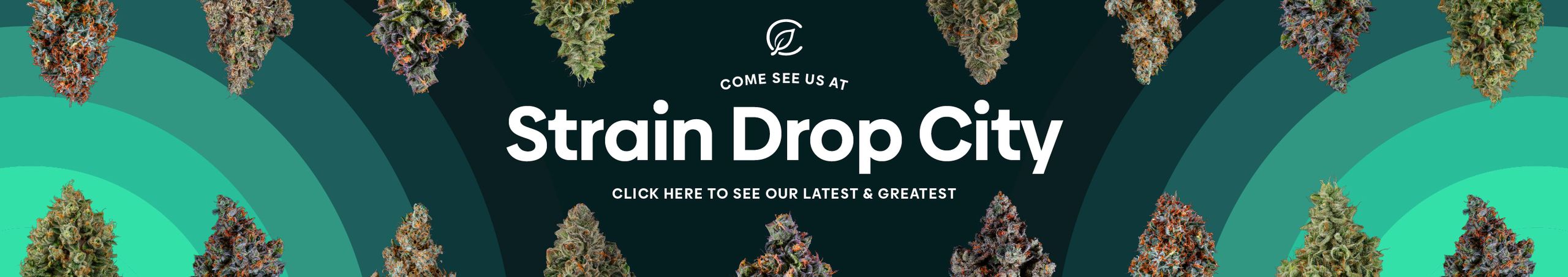 Cannabis Promo, Cannabis Sales, Cannabis Discounts, Cannabis on Sale, STRAIN DROP CITY at CURALEAF AZ! 🔥