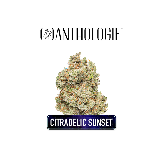 Citradelic Sunset Anthologie
