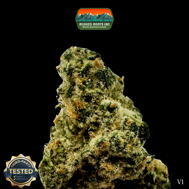 Lemonato Rugged Roots