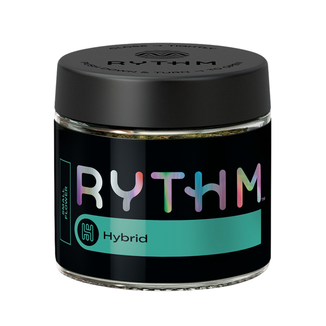 Scotch + Soda RYTHM