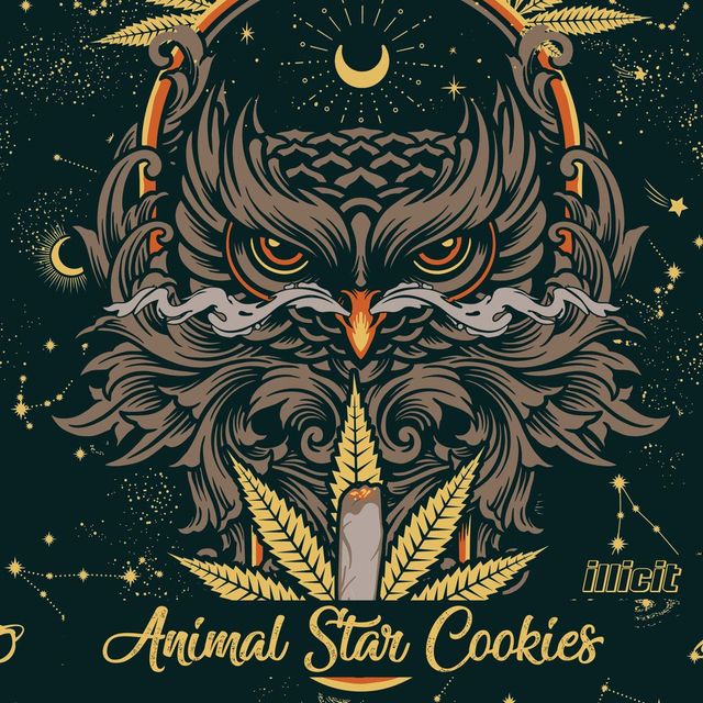 Animal Star Cookies Illicit Animal Star Cookies Illicit