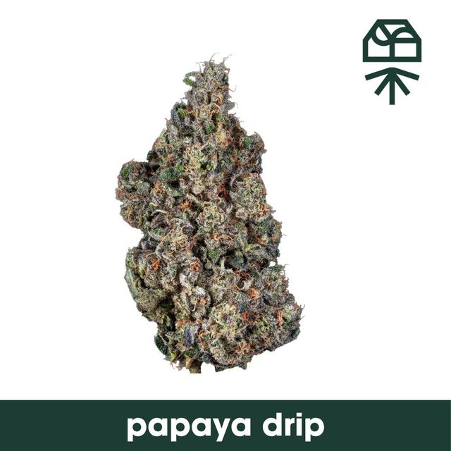 Papaya Drip Grassroots