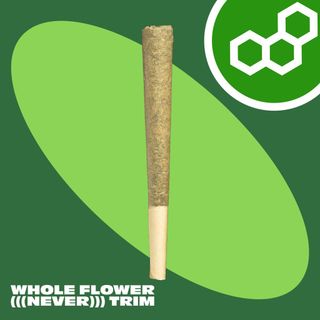 Garlic Fuel Theraplant