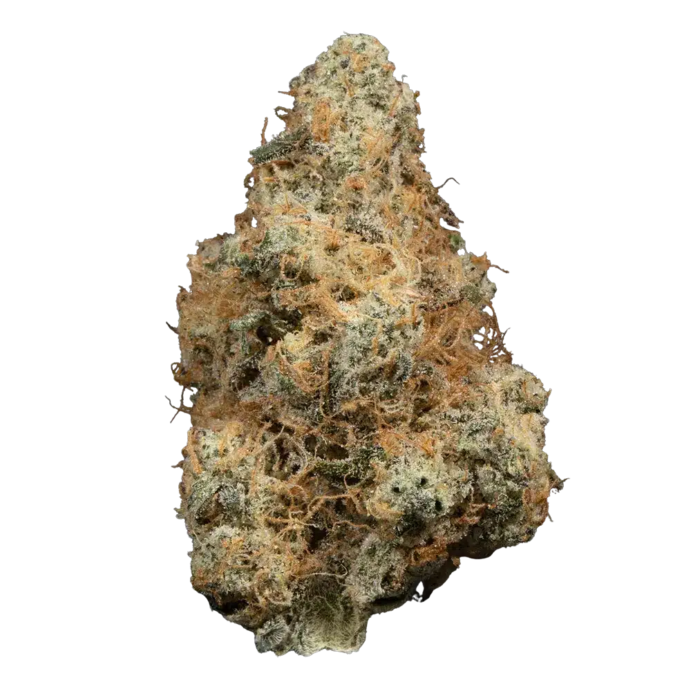 Jack 39 Jack Herer Reserve