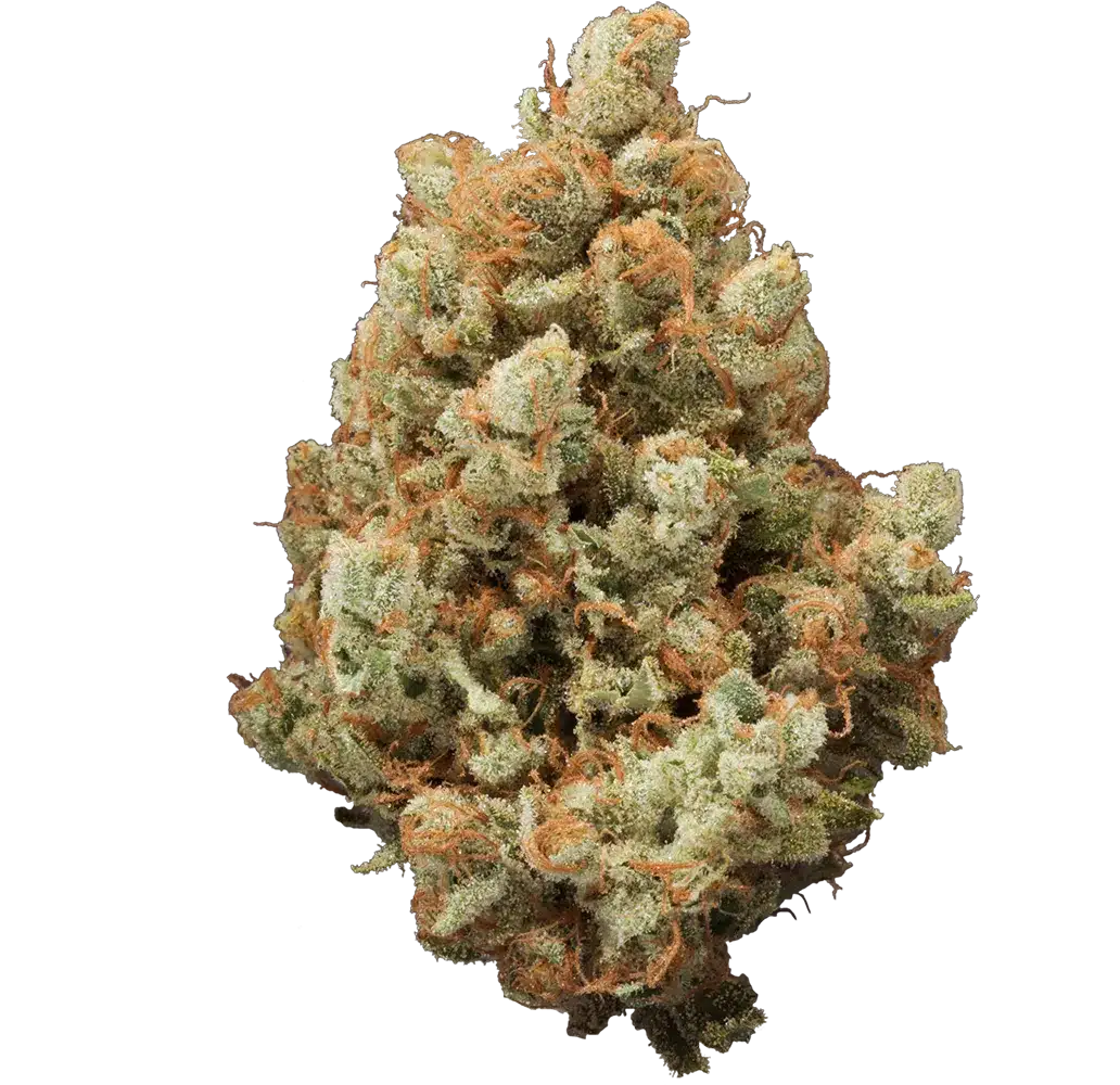 Jack Herer Jack Herer Reserve