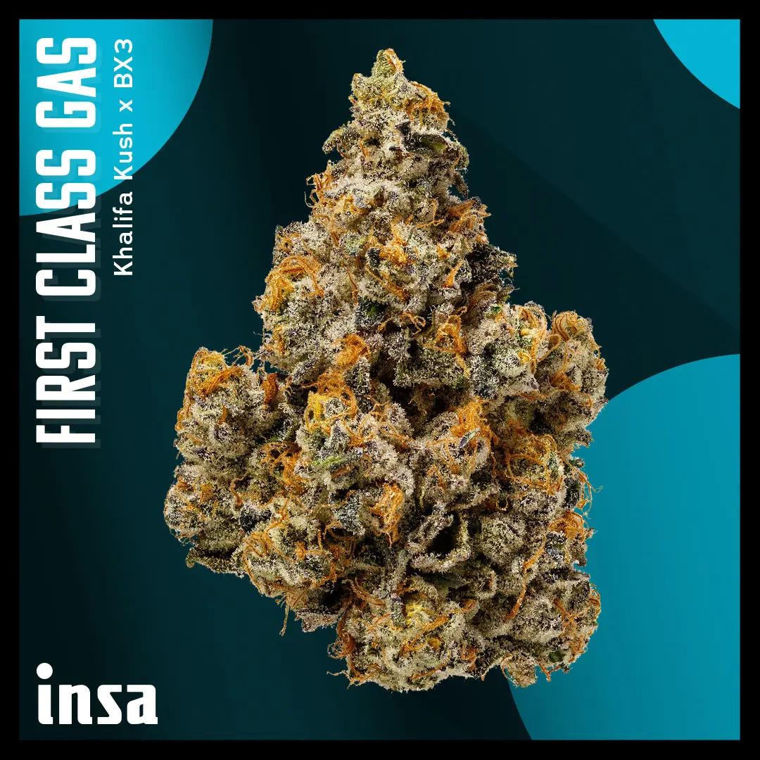 Cannabis Promo, Cannabis Sales, Cannabis Discounts, Cannabis on Sale, $75 INSA 14g Flower! 3