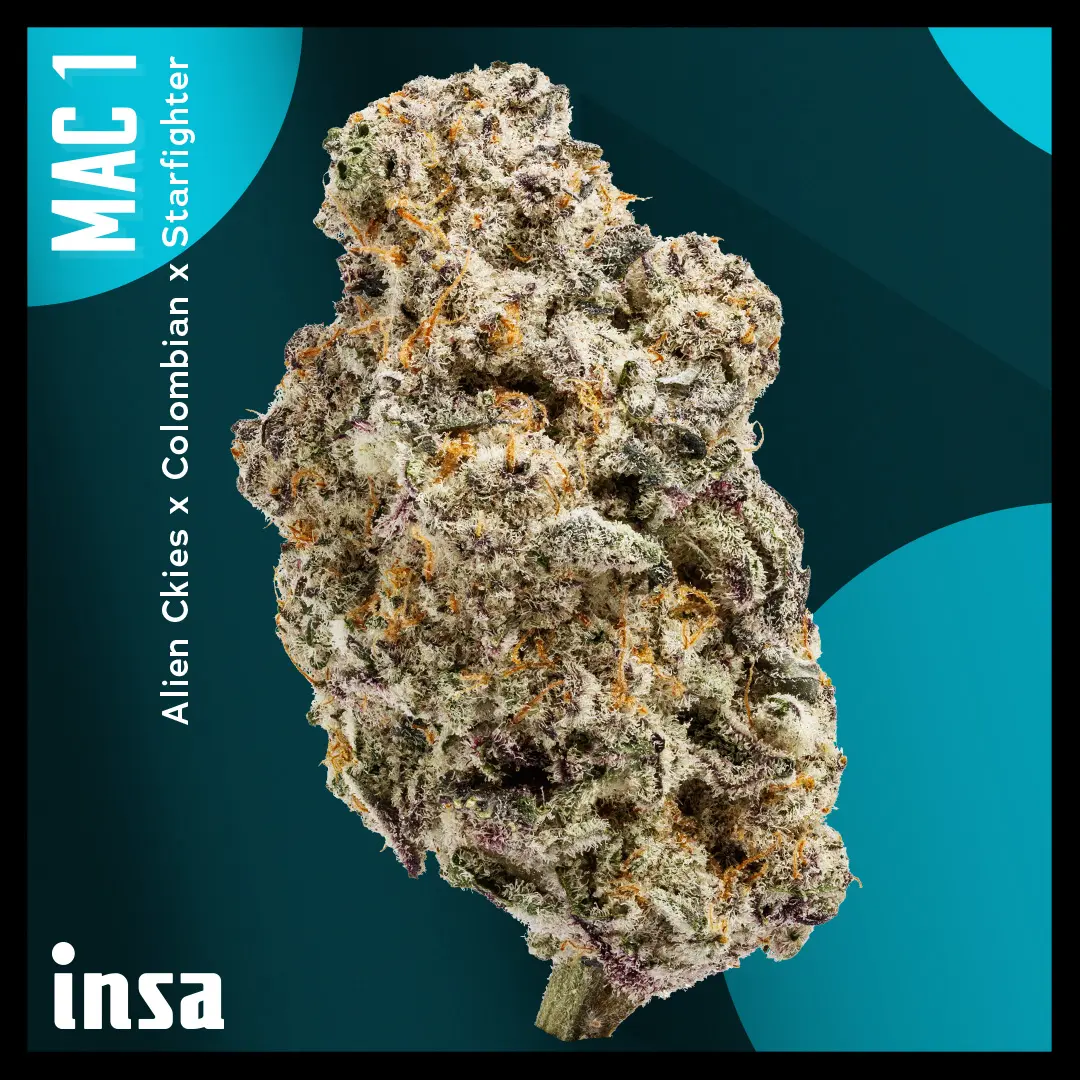 Cannabis Promo, Cannabis Sales, Cannabis Discounts, Cannabis on Sale, $75 INSA 14g Flower! 1