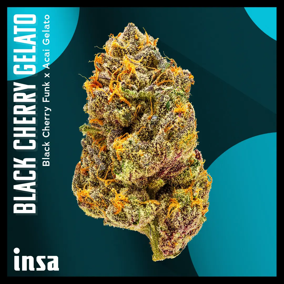 Black Cherry Gelato