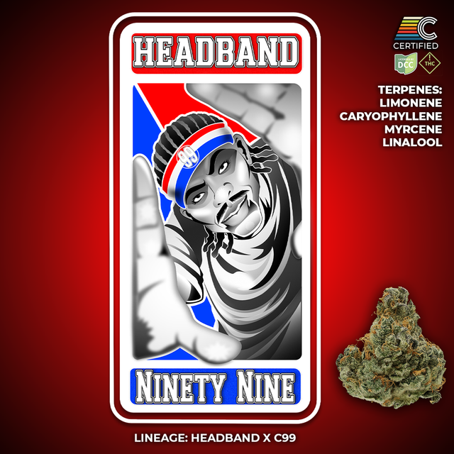 Headband #99 Certified