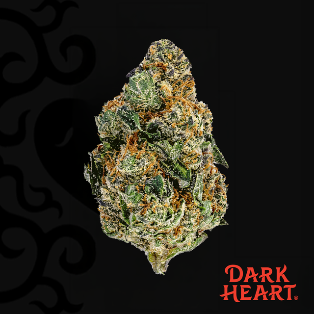 Berry Blintz Dark Heart