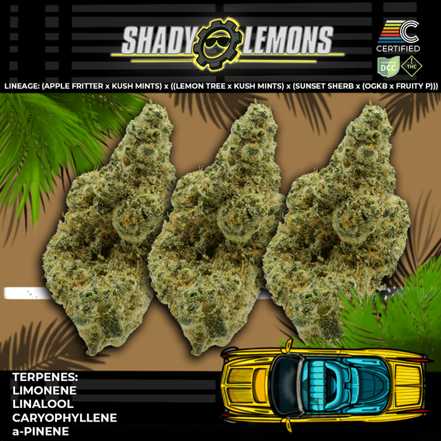 Shady Lemon Select Certified