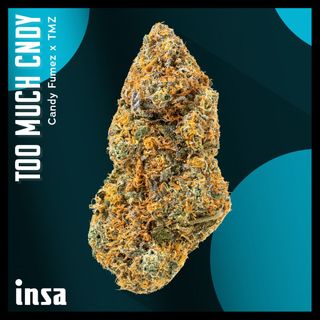 Cannabis Promo, Cannabis Sales, Cannabis Discounts, Cannabis on Sale, $120 for INSA 28g Flower! 1