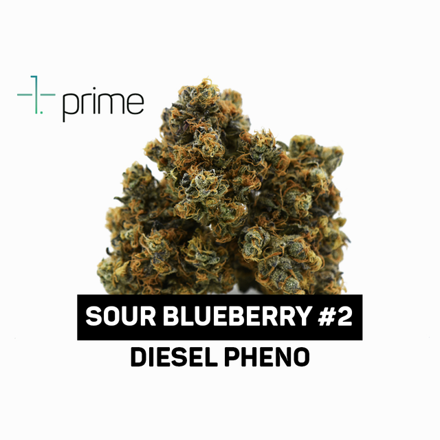 Sour Blueberry #2 Prime Wellness