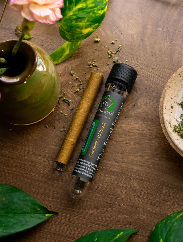 Chili Verde Royal Rush