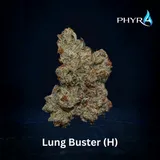 Lung Buster