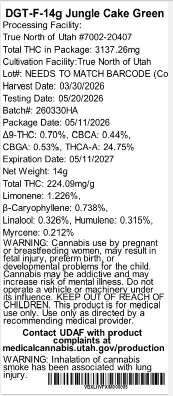 Jungle Cake DGT Jungle Cake DGT