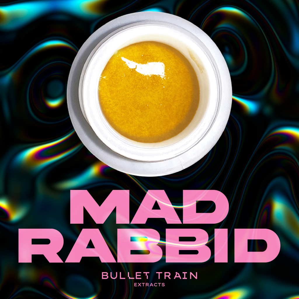 Mad Rabbid