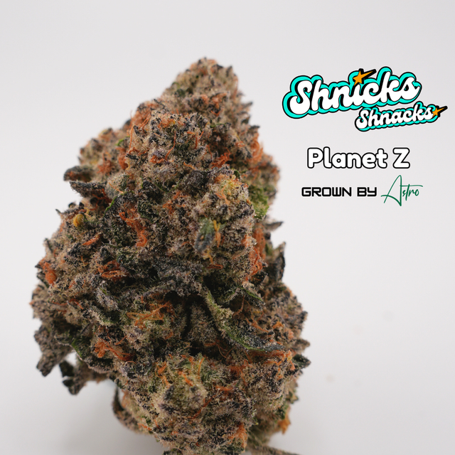 Planet Z Shnicks Shnacks Planet Z Shnicks Shnacks