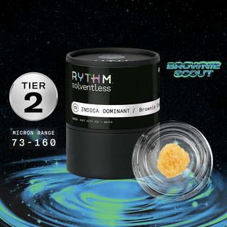 Brownie Scout RYTHM
